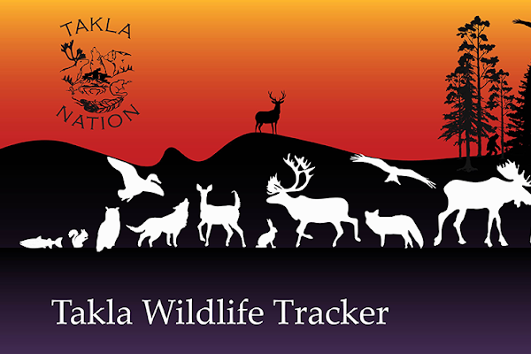 Takla Wildlife Tracker